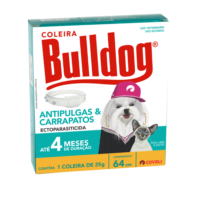 Coleira Bulldog 4