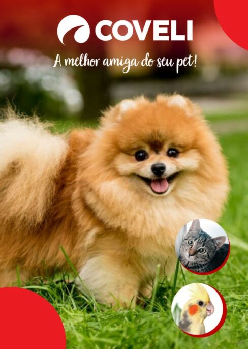 Catálogo Coveli